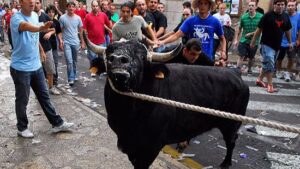 correbou