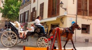 Uno de los 61 caballos adscritos al servicio de 28 galeras