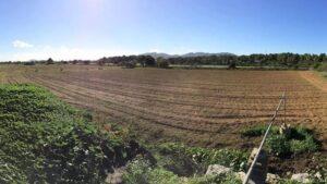 Zona por donde pasar&aacute; la variante de Ca Na Negreta