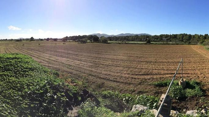 Zona por donde pasará la variante de Ca Na Negreta