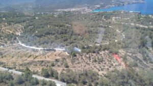 Se han quemado 150 metros de pinar
