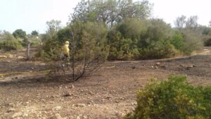 Efectivos del Ibanat han extinguido las llamas