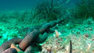 posidonia amarre