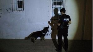 Hallaron marihuana, coca&iacute;na y hach&iacute;s