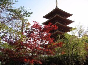 Jap&oacute;n