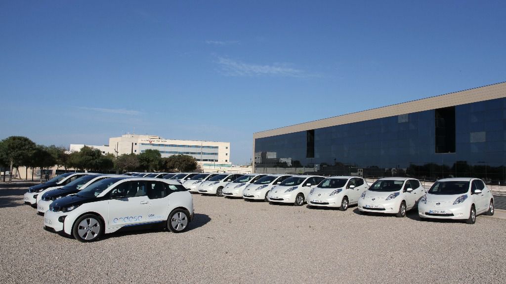 La acción se enmarca en la lucha contra el cambio climático