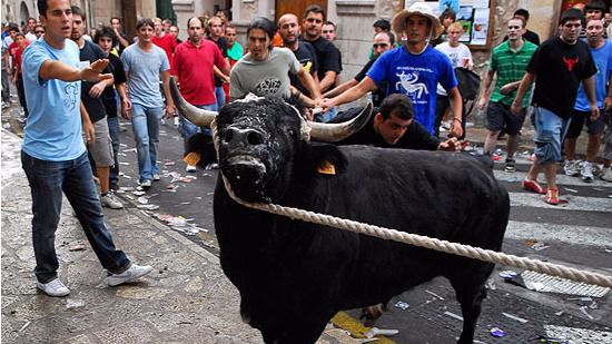 correbou