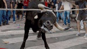 Con pol&eacute;micas de trasfondo como la del correbou de Fornalutx