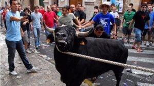 correbou