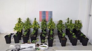 En la imagen la droga decomisada y los utensilios para manipularla