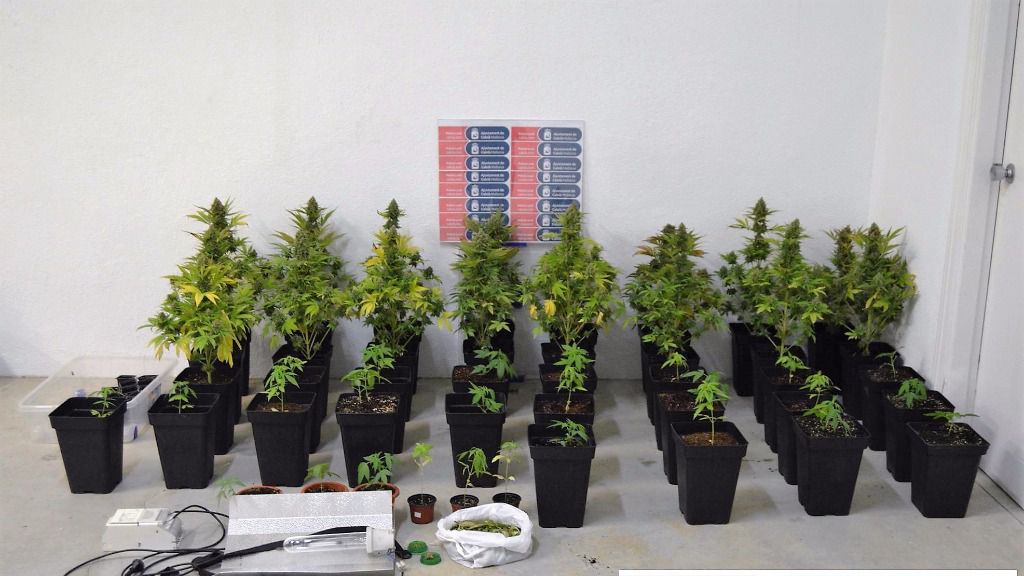 En la imagen la droga decomisada y los utensilios para manipularla