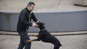 Nacho Sierra ha ense&ntilde;ado a los agentes a interpretar sus reacciones