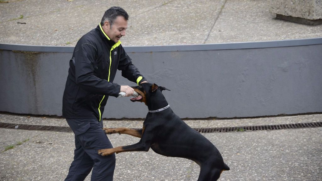 Nacho Sierra ha enseñado a los agentes a interpretar sus reacciones