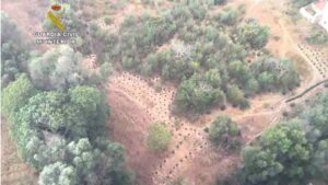 Imagen a&eacute;rea del terreno