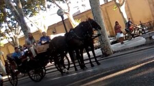 &Eacute;sta transporta a 6 turistas m&aacute;s el conductor