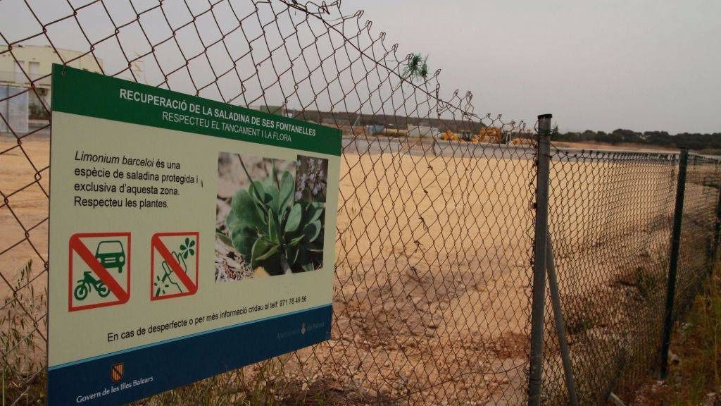 El proyecto Palma Springs no cuenta con los permisos pertinentes