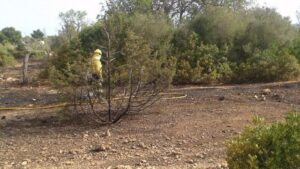 Imagen de archivo de agentes forestales del Ibanat