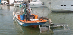 barco de basura