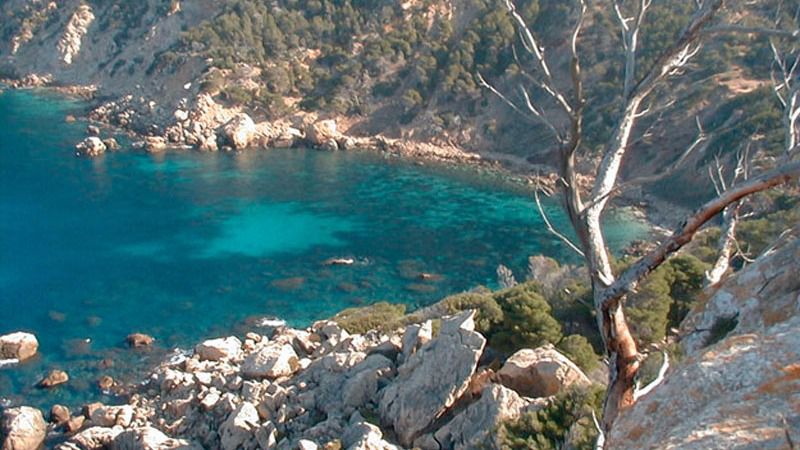 Los ocupantes de una embarcación lo han sacado del agua