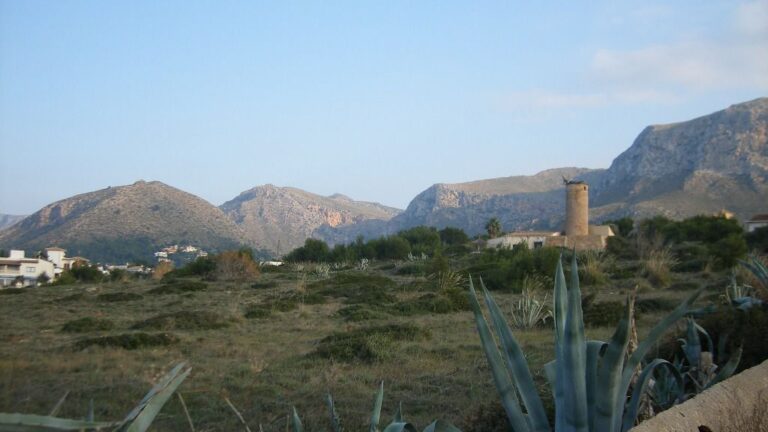 Imagen de la zona