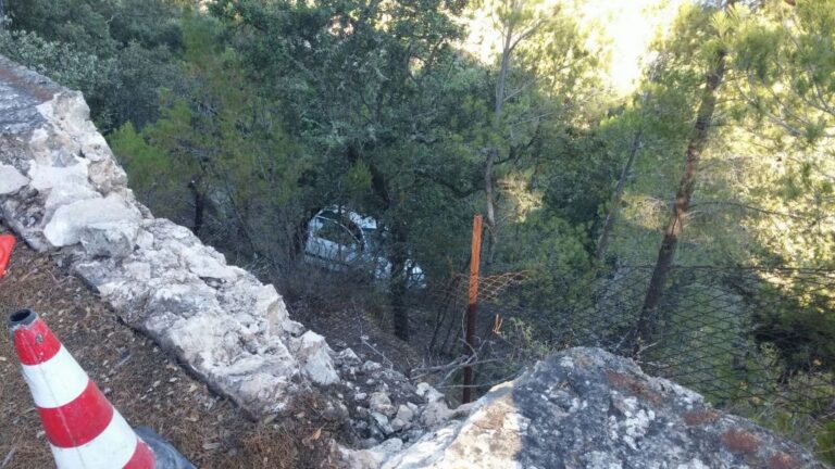 Un árbol frenó la caída