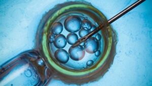 in vitro
