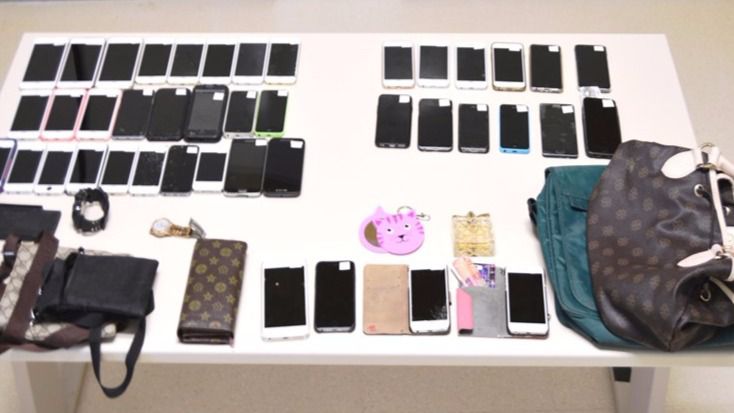 Imágenes cedidas por el Ajuntament de Calvià