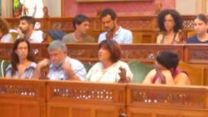 Carme Palomino durante su intervenci&oacute;n en el Pleno