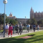 turistas palma seu