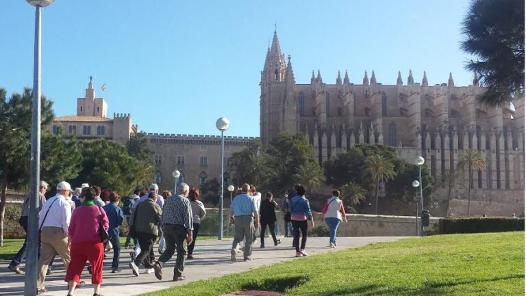 turistas palma seu