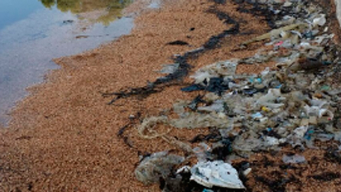 Los operarios ya están procediendo a su limpieza después de numerosas quejas