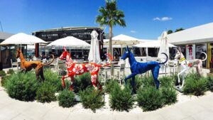 podencos marina ibiza