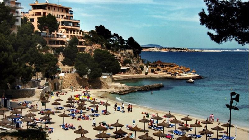 La consellera Cladera incide en la normalidad del proceso