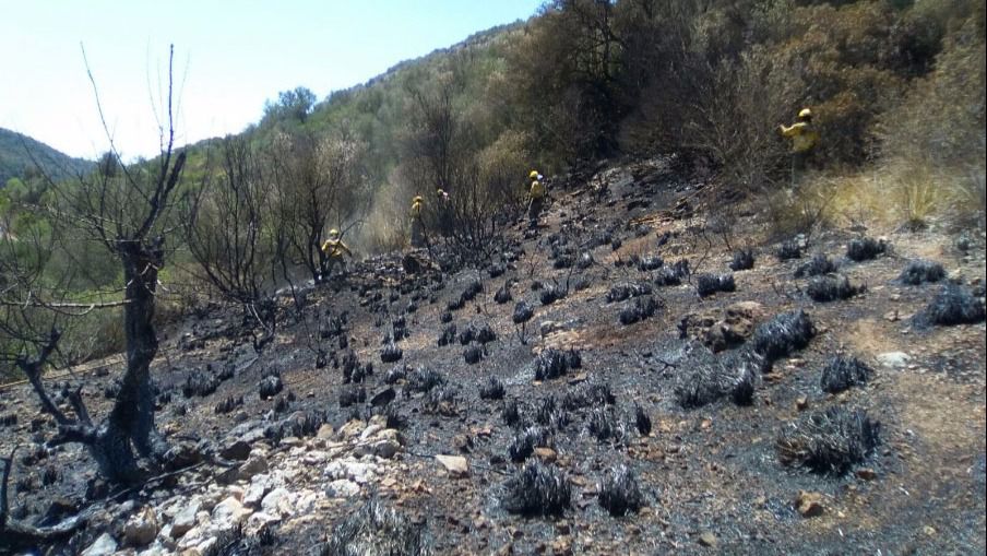 Imagen de cómo ha quedado la zona calcinada de Petra