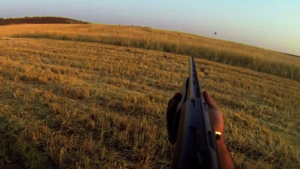 Los días habilitados serán el 15, el 21 y el 28 de agosto y 4 de septiembre