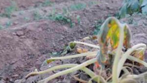 7 a&ntilde;os despu&eacute;s