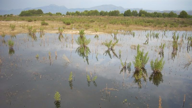 'Terraferida' denunció el derrame