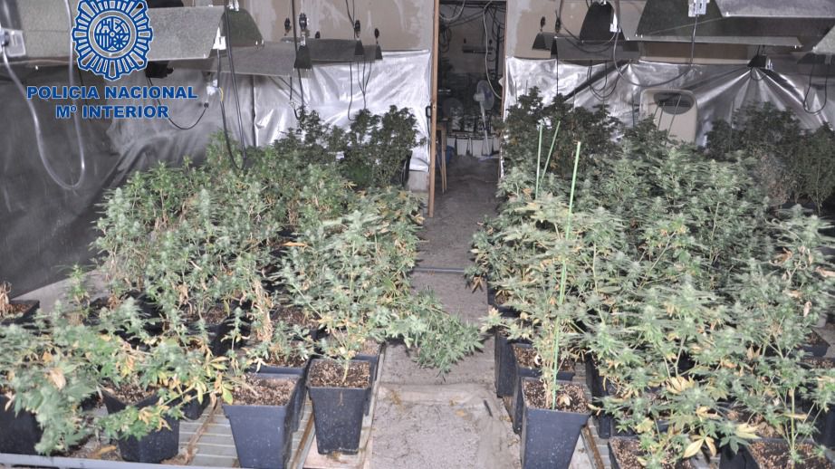 El propietario ha sido detenido