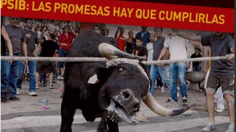 Vía twitter ha enviado esta imagen a socialistas como Armengol y Silvia Cano