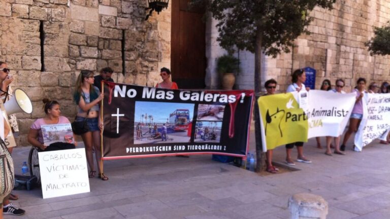 Han difundido el mensaje en varios idiomas