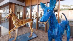 lucas y dafne podencos