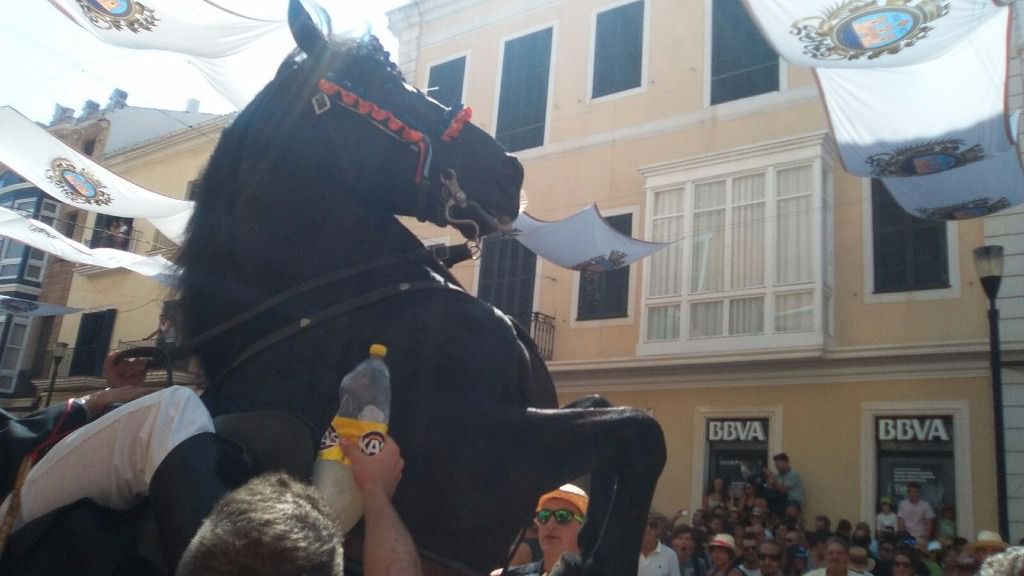 caballo fiestas gracia mao jaleo