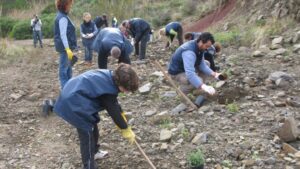 voluntariado alocs reserva biosfera