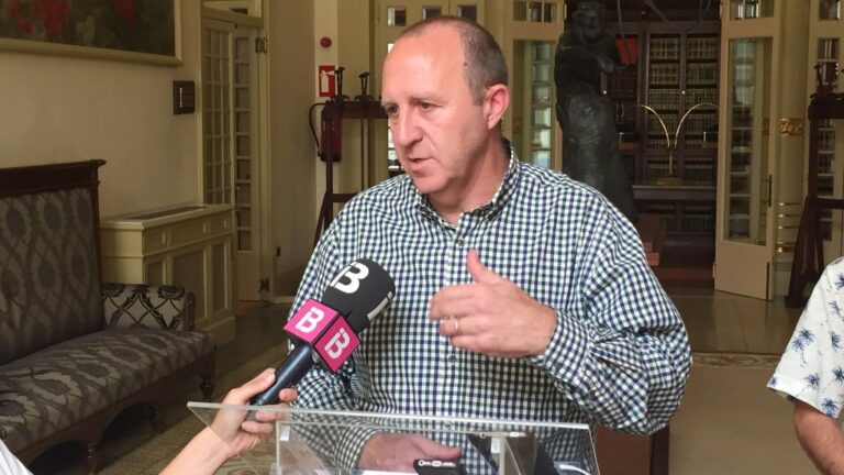 Andreu Alcover, portavoz parlamentario del grupo socialista