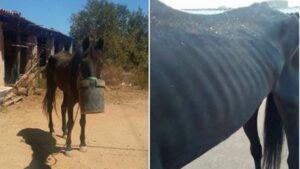 Im&aacute;genes de Baldea