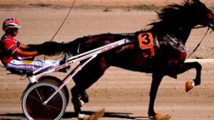 Los caballistas hablan ya de "agravantes diferencias"