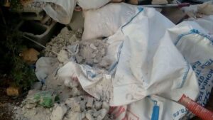 Imagen de los restos