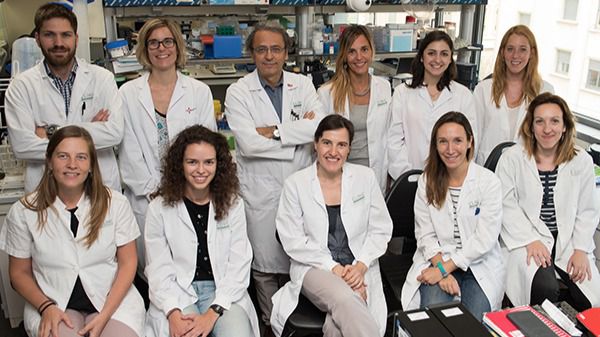 Equipo Investigación