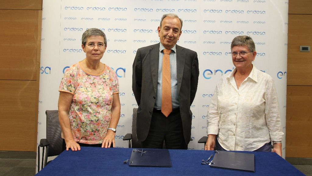 Endesa Fundación Naum