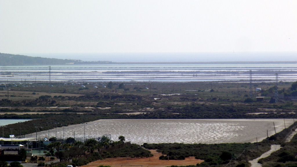 ses salines eivissa